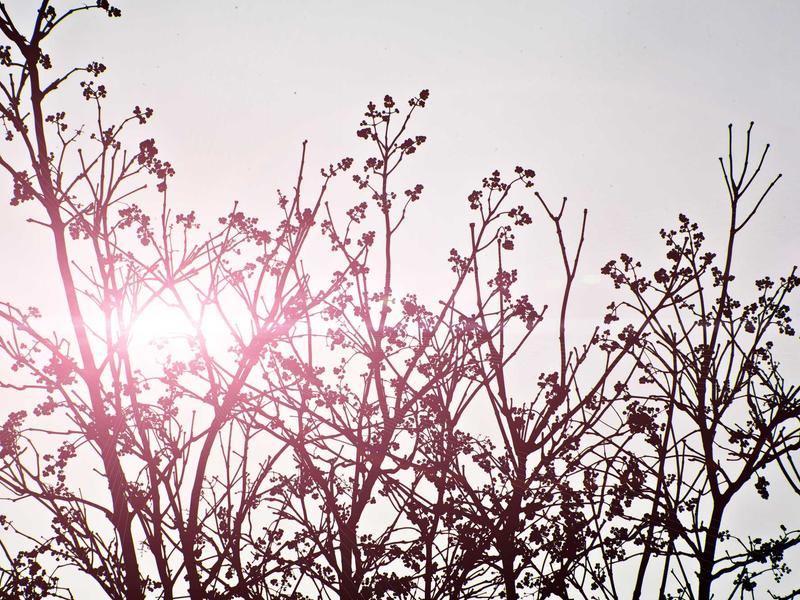 accessibility screenshot 6