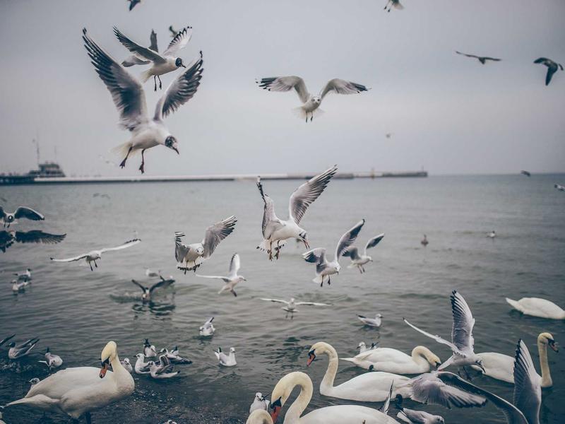 sudoku hints system screenshot 1